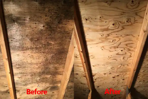 water damage restoration service Fort Polk North